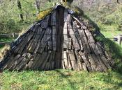 Carboneo