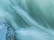 Henryk Skolimowski. Filosofía viva