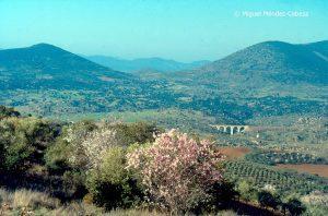 Aldeanueva de Barbarroya ( I )