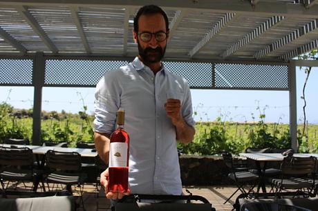 Los mejores vinos de Santorini