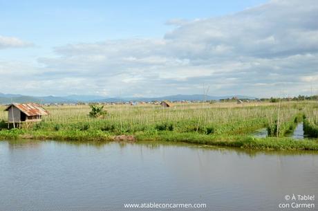 Lago Inle, la Vida en el Agua