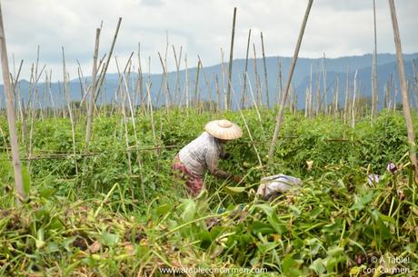 Lago Inle, la Vida en el Agua