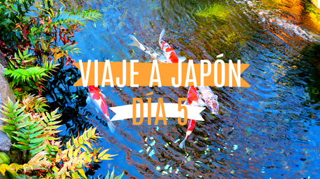 VIAJE A JAPÓN│DÍA 5 │ TOKIO