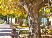 Tips: cómo ahorrar otoño