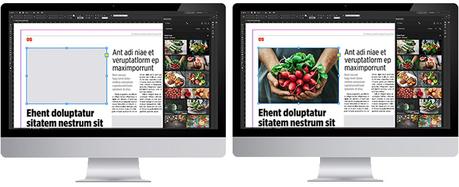 Shutterstock lanza nuevo plugin para paquete Adobe®