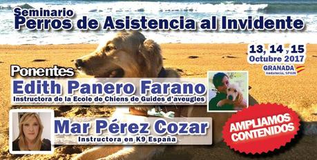 seminario perros invidentes