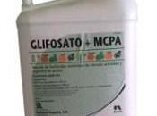 Glifosato