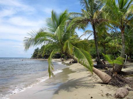 ¿Quieres viajar a Costa Rica?