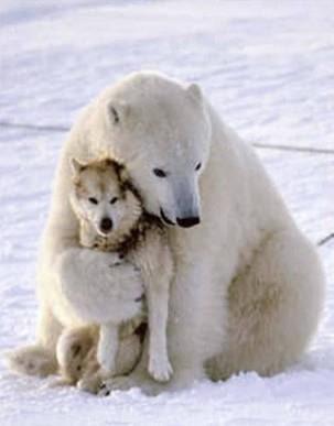 Abrazoterapia: beneficios del abrazo