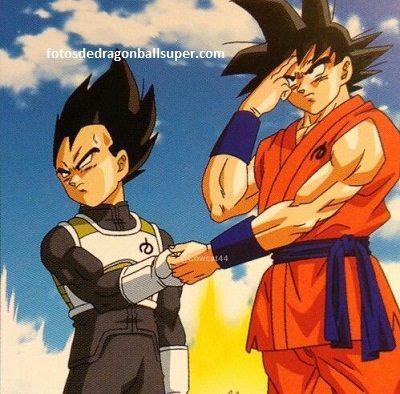 Dibujar las mejores imagenes de goku y vegeta en fase dios - Paperblog Dibujar las mejores imagenes de goku y vegeta en fase dios - Paperblog