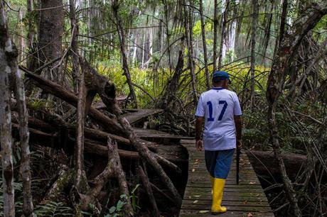 Canchimalero fuera de fechas, Majagual y Cayapas Mataje