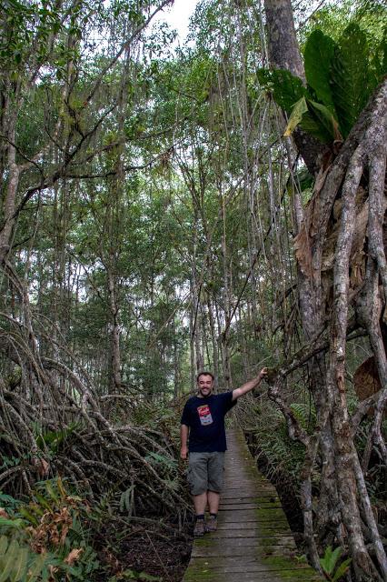 Canchimalero fuera de fechas, Majagual y Cayapas Mataje