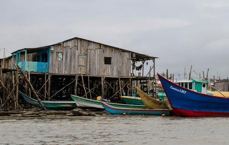 Canchimalero fuera de fechas, Majagual y Cayapas Mataje