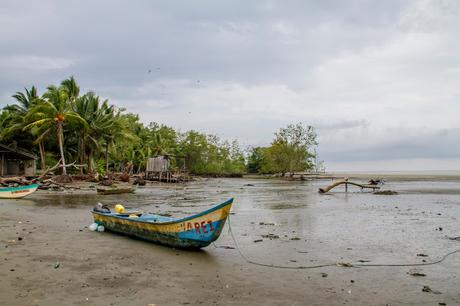 Canchimalero fuera de fechas, Majagual y Cayapas Mataje