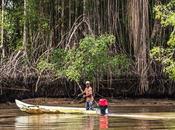 Canchimalero fuera fechas, Majagual Cayapas Mataje