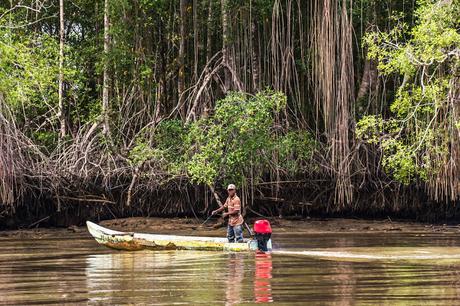 Canchimalero fuera de fechas, Majagual y Cayapas Mataje
