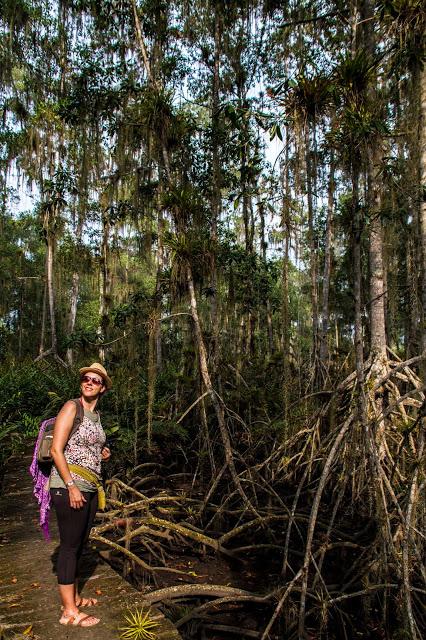 Canchimalero fuera de fechas, Majagual y Cayapas Mataje