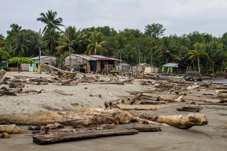 Canchimalero fuera de fechas, Majagual y Cayapas Mataje
