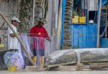 Canchimalero fuera de fechas, Majagual y Cayapas Mataje