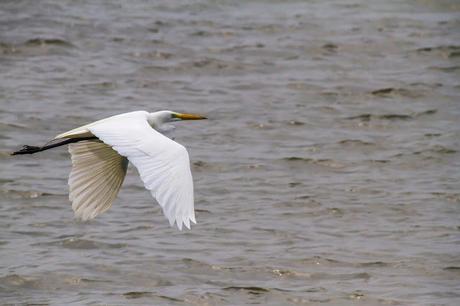 Canchimalero fuera de fechas, Majagual y Cayapas Mataje