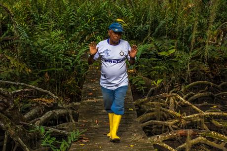 Canchimalero fuera de fechas, Majagual y Cayapas Mataje