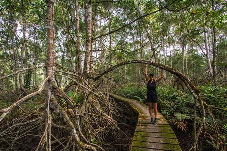 Canchimalero fuera de fechas, Majagual y Cayapas Mataje