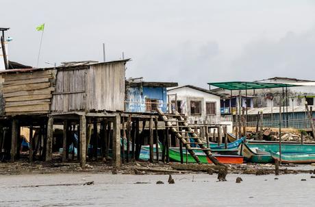 Canchimalero fuera de fechas, Majagual y Cayapas Mataje