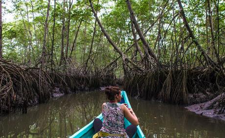 Canchimalero fuera de fechas, Majagual y Cayapas Mataje