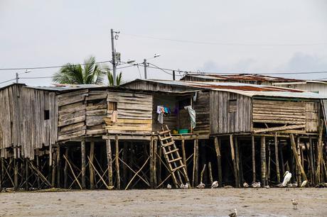 Canchimalero fuera de fechas, Majagual y Cayapas Mataje