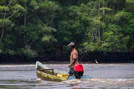 Canchimalero fuera de fechas, Majagual y Cayapas Mataje