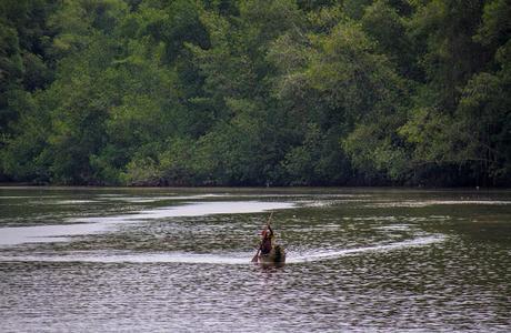 Canchimalero fuera de fechas, Majagual y Cayapas Mataje