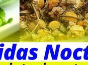 Toma estas bebidas nocturnas para ayudar limpiar hígado