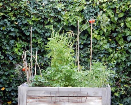 Ya estamos en Otoño…