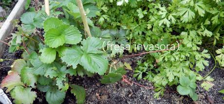 Ya estamos en Otoño…