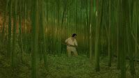 Cinecritica: La Tortuga Roja