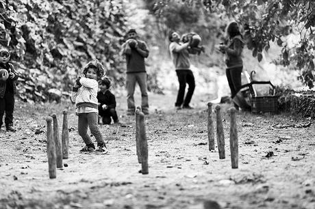 Otoño va, otoño viene. El otoño es ideal para hacer fotografías