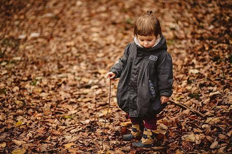 Otoño va, otoño viene. El otoño es ideal para hacer fotografías