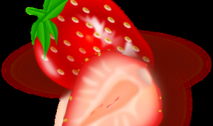 Remedios naturales para los sofocos de la menopausia Remedios naturales para los sofocos de la menopausia