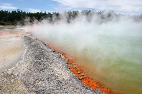 Forma de vida que se alimenta de arsénico