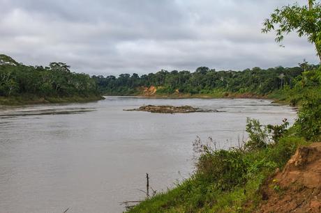 Guacamayos del Tambopata