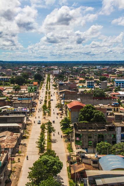 Guacamayos del Tambopata