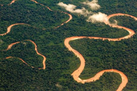 Guacamayos del Tambopata