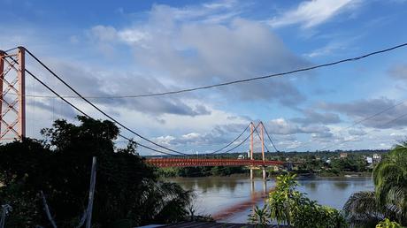 Guacamayos del Tambopata