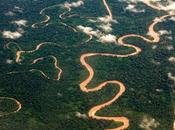 Guacamayos Tambopata