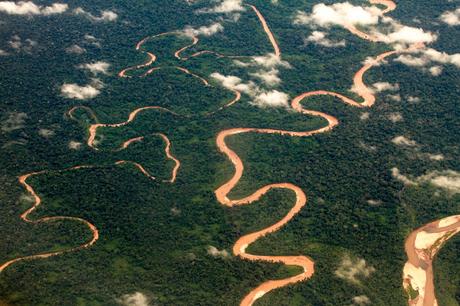 Guacamayos del Tambopata