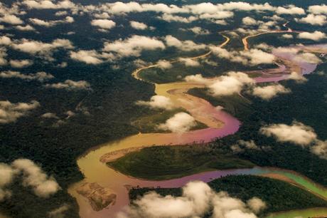 Guacamayos del Tambopata