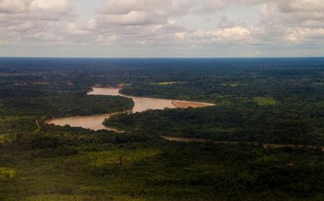 Guacamayos del Tambopata