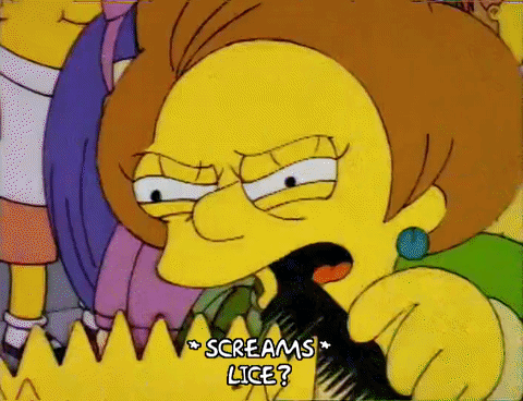 Receta: Dí “No!” a los piojos!