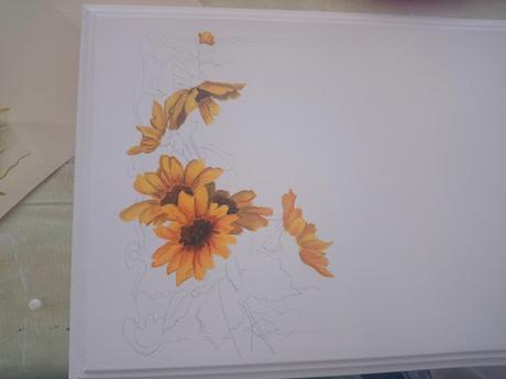 Flores y mariposas...