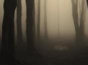 Entre Sombras: